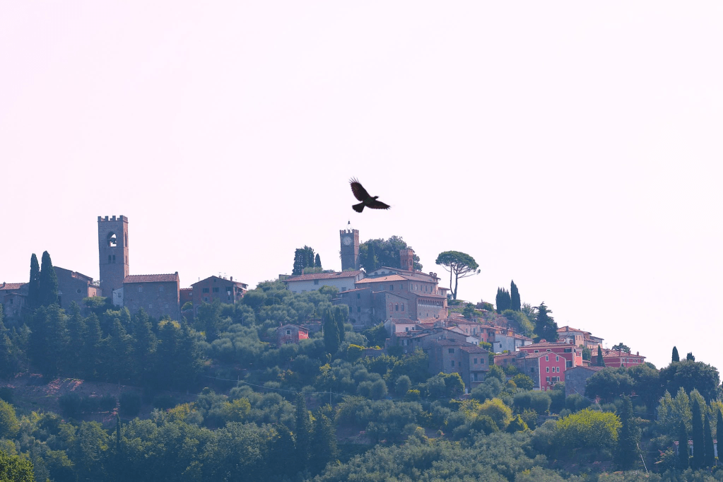 Manifesto della Provvisorietà e del&nbsp;Dovere